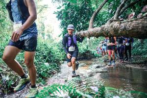 BIB: 
                            <button type="button" onclick="openModal(25463256)" class="btn btn-primary btn-sm float-right btn-popup" data-toggle="modal" data-target=".modal-high-quality">
                        <i class="fas fa-shopping-cart"></i> Add to Cart
                    </button>
                                            <button type="button" onclick="isThisMe(25463256, true)" class="btn btn-success btn-sm float-right btn-popup btn-isme hidden" data-toggle="tooltip" data-placement="bottom" title="นี่คือรูปของคุณใช่ไหม คลิกที่นี่เพื่อเอาเข้าอัลบั้ม">
                        <i class="fas fa-plus"></i> Add to album
                    </button>
                    <button type="button" onclick="isThisMe(25463256, false)" class="btn btn-warning btn-sm float-right btn-popup btn-isnotme hidden">
                        <i class="fas fa-ban"></i> Remove from album
                    </button>